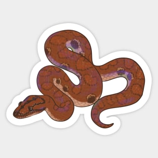 Iridescent Rainbow Boa Sticker